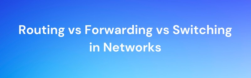 routing vs forwarding vs switching