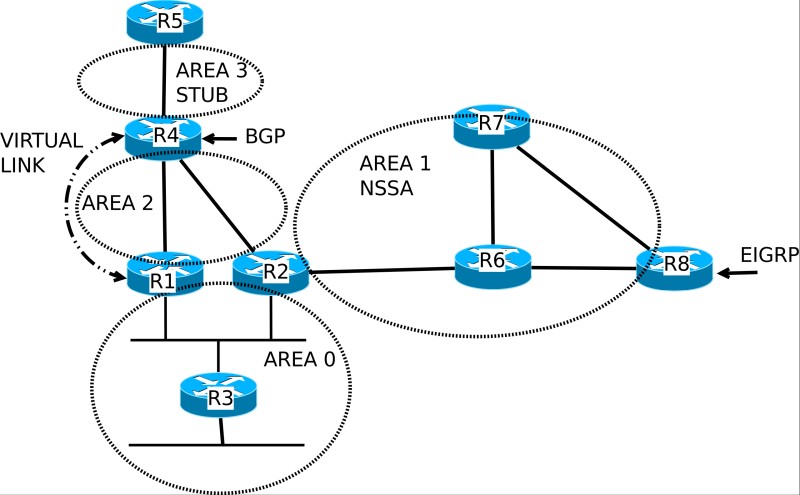 example ospf network